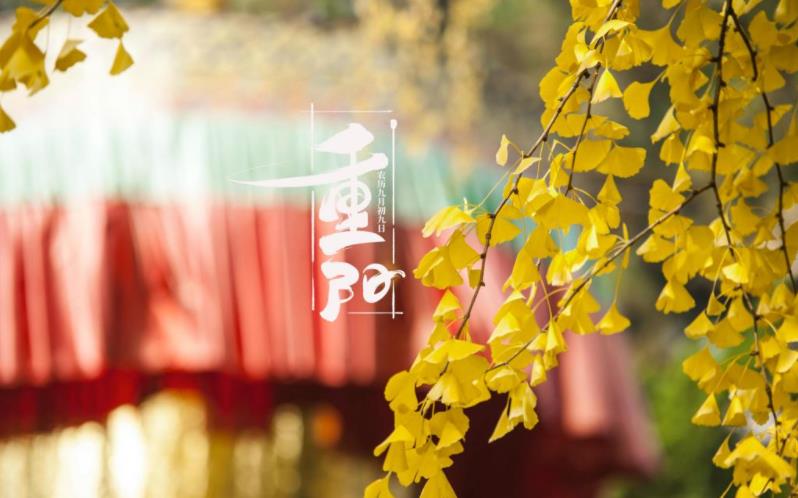 金秋送爽，心暖重陽(yáng)。祝您重陽(yáng)愉快，闔家歡樂(lè)，福壽安康！